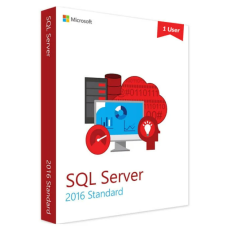 Microsoft SQL Server 2016 Standard License For 1 User