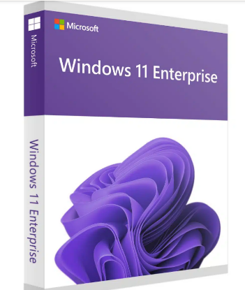 Picture of Windows 11 Enterprise 1 PC Lifetime Validity